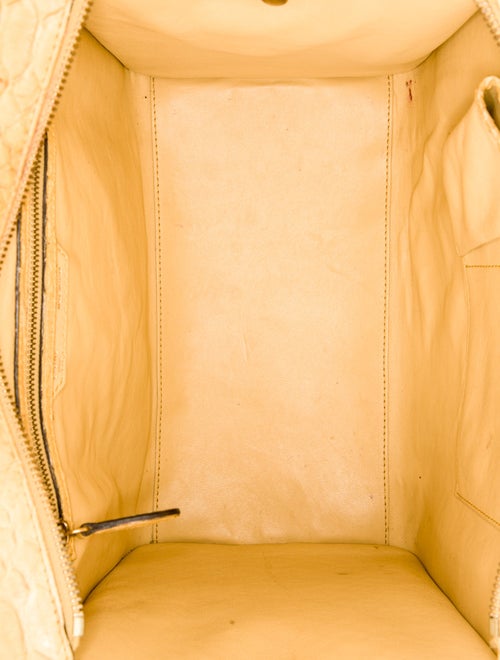 Celine Python Luggage Mini