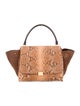 Celine Céline Large Python Trapeze Bag