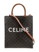 Celine Triomphe Vertical Cabas Small 2022