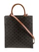 Celine Triomphe Vertical Cabas Small 2022