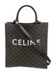 Celine Vertical Cabas Medium 2022
