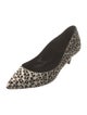 Celine Ponyhair Animal Print Pumps