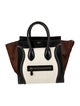 Celine Ponyhair Luggage Mini