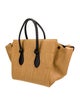 Celine Raffia Tie Tote Large
