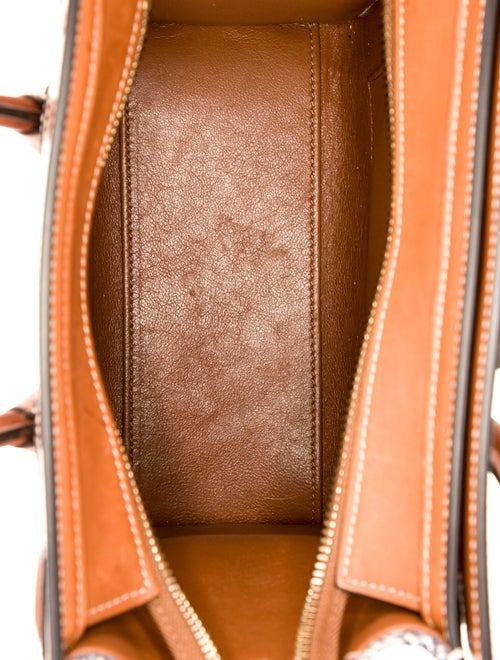 Celine Canvas Luggage Nano