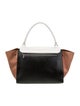 Celine Leather Trapeze Large