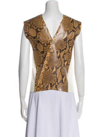 Celine 2014 Python Top