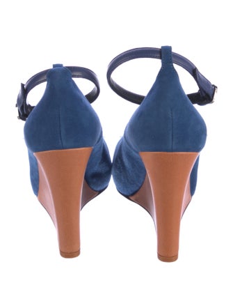 Celine Suede Pumps