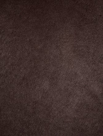 Celine Leather Trapeze Medium