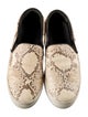 Celine Snakeskin Animal Print Sneakers