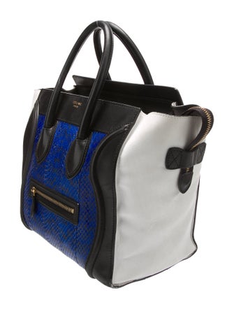 Celine Python Top Handle Bag