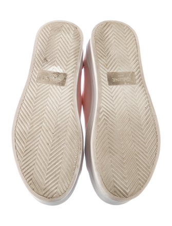 Celine Canvas Sneakers