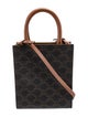 Celine Triomphe Cabas Mini