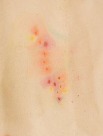 Celine Canvas Horizontal Cabas