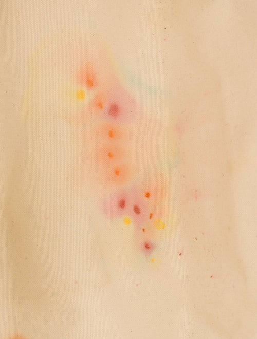 Celine Canvas Horizontal Cabas