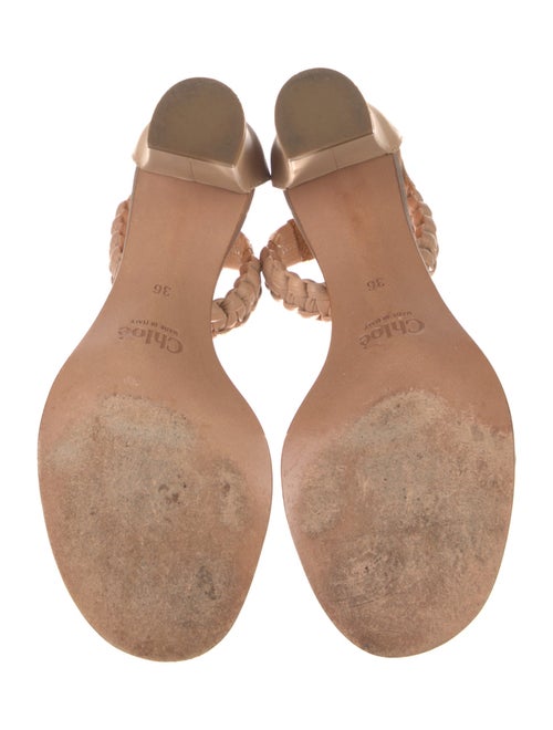 Chloé Python D'Orsay Pumps