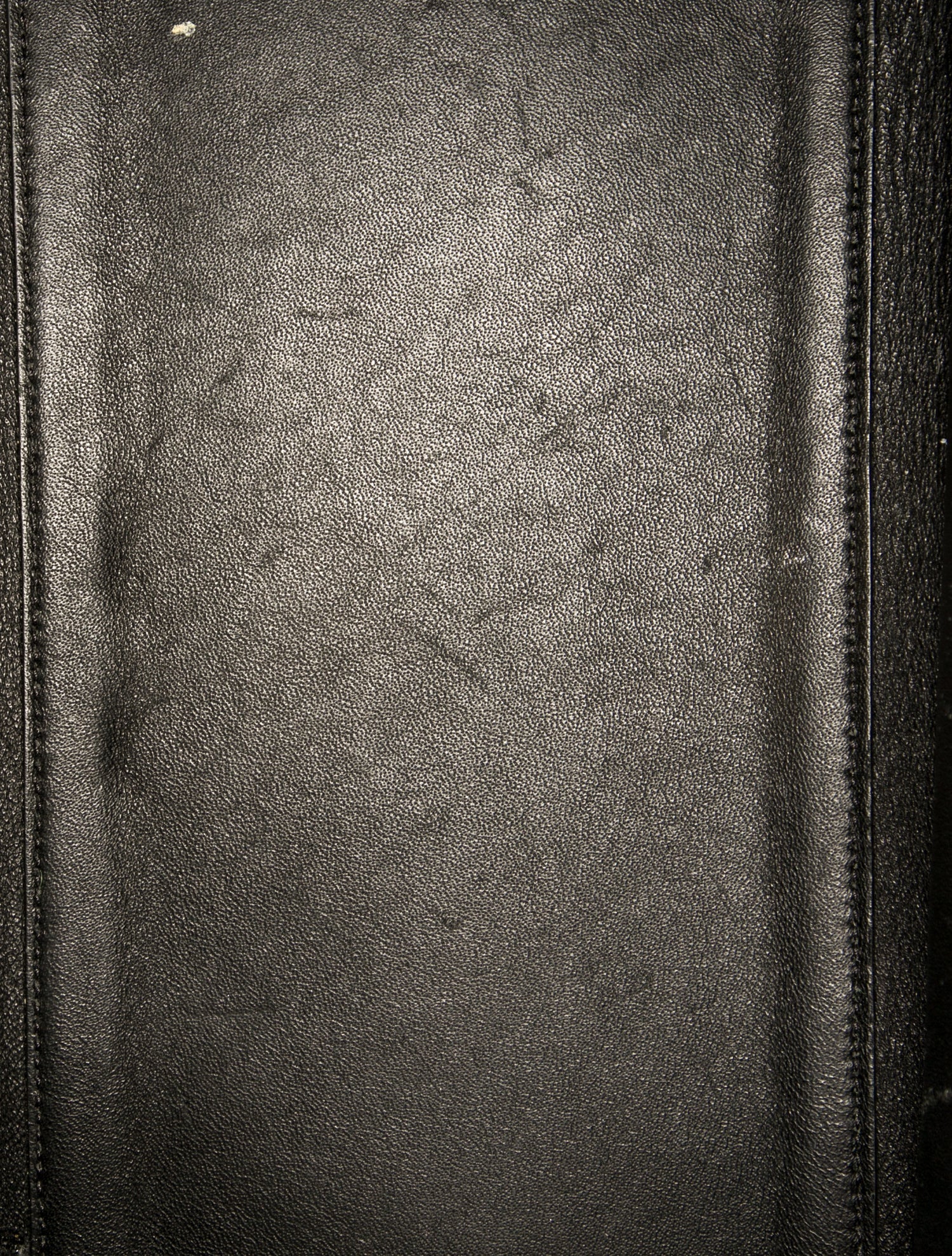 Celine Leather Trapeze Medium