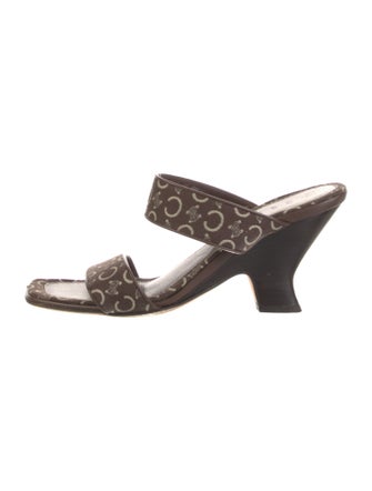 Celine Canvas Printed Slides