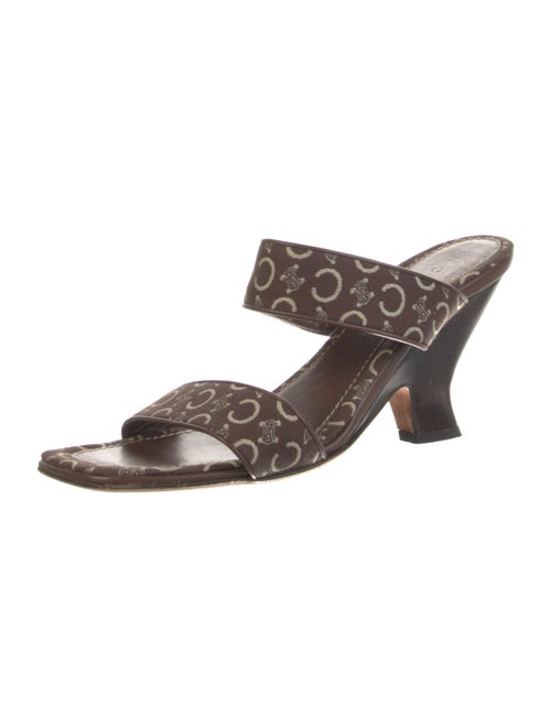 Celine Canvas Printed Slides