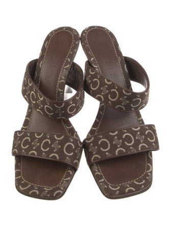 Celine Canvas Printed Slides