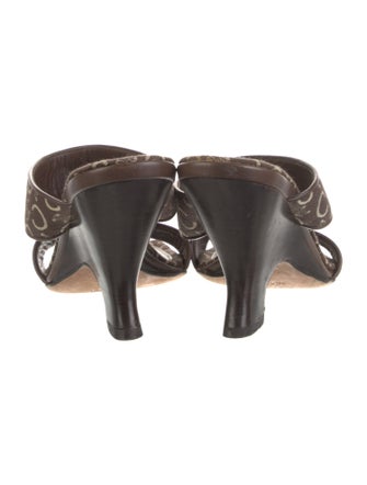 Celine Canvas Printed Slides