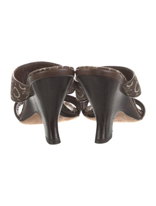 Celine Canvas Printed Slides