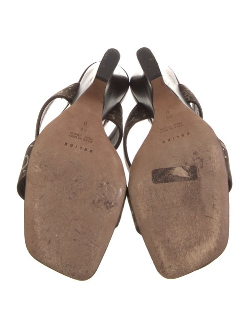 Celine Canvas Printed Slides