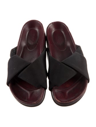 Celine Canvas Slides