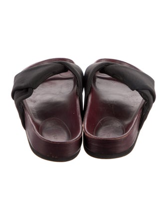 Celine Canvas Slides