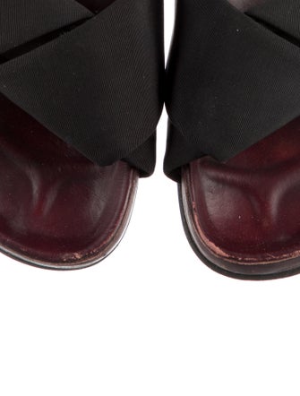 Celine Canvas Slides