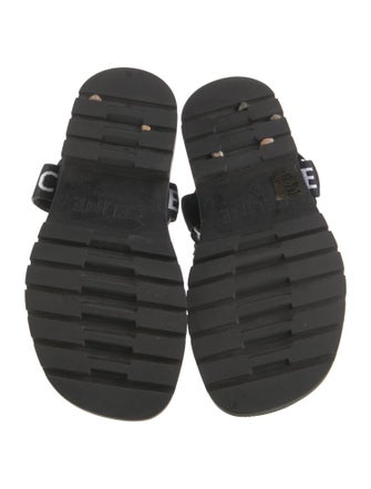 Celine Printed Slides