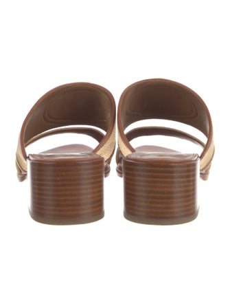 Celine Raffia Graphic Print Slides