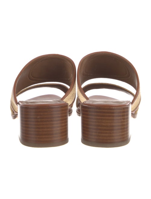 Celine Raffia Graphic Print Slides