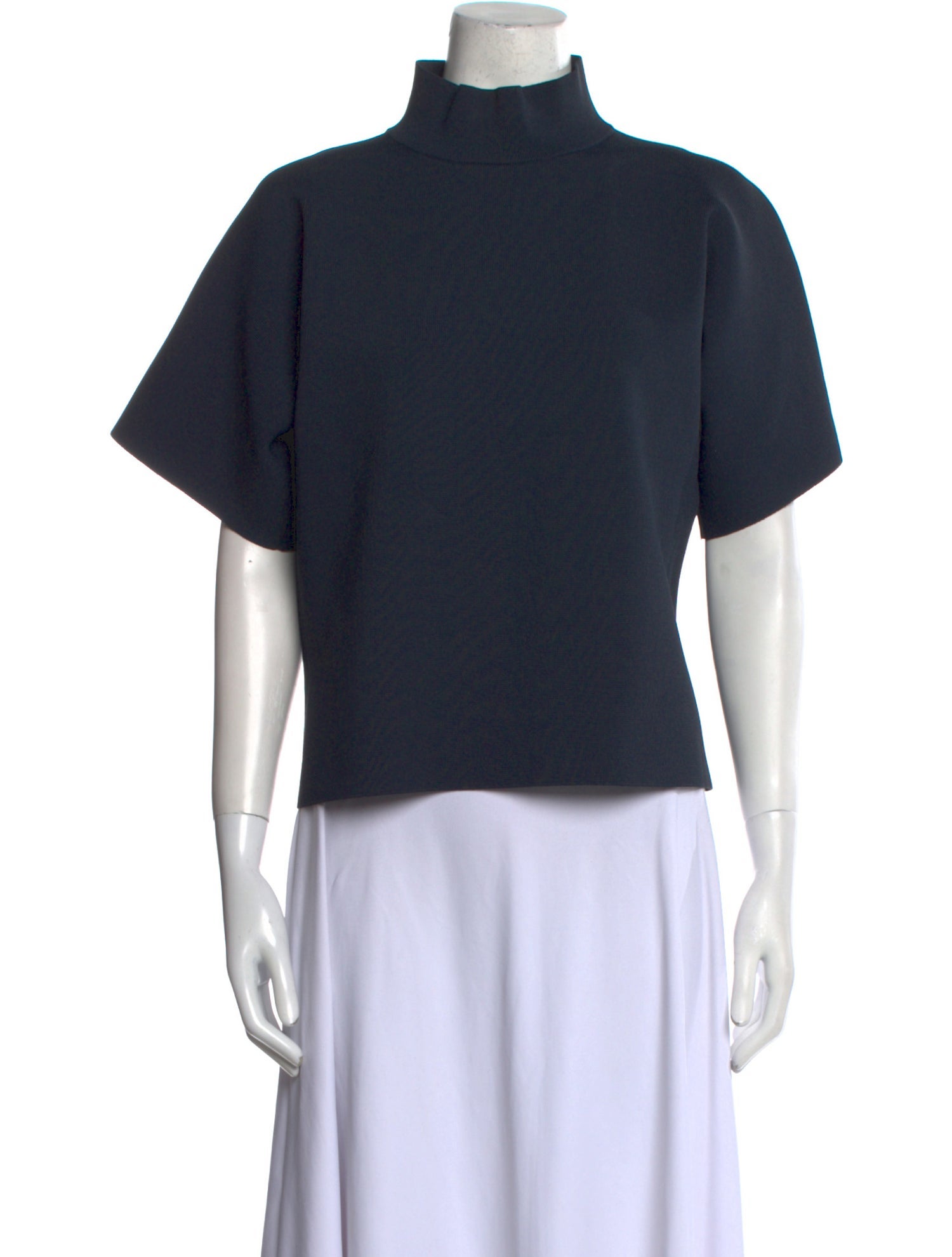 Celine Turtleneck Short Sleeve Top