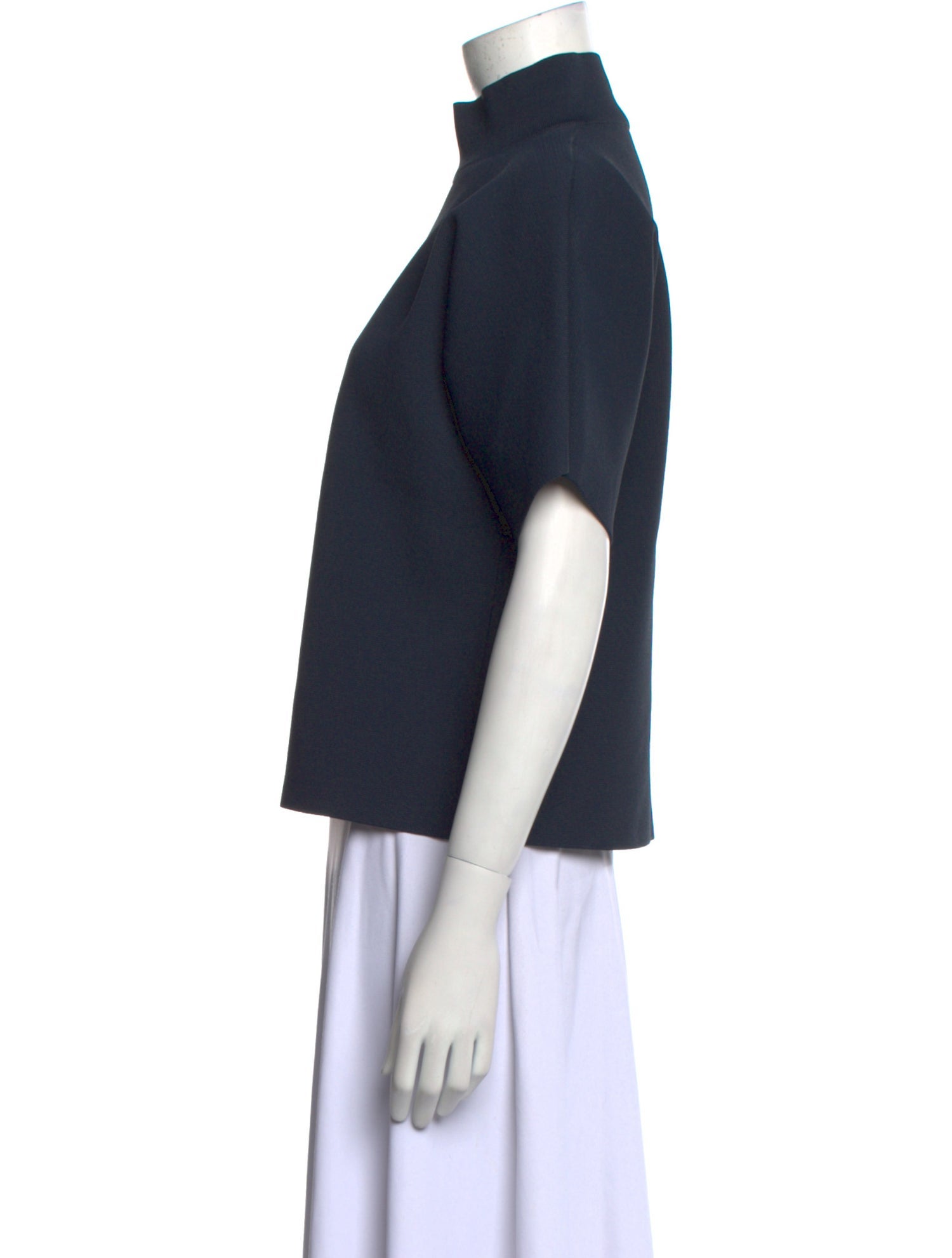 Celine Turtleneck Short Sleeve Top