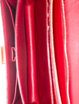 Celine Python Classic Medium