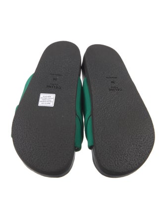 Celine Slides