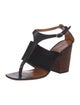 Celine Suede T-Strap Sandals