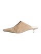 Celine Suede Leather Trim Embellishment Mules