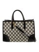 Celine Triomphe Horizontal Cabas Tote Bag Mini 2022