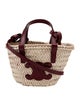 Celine Triomphe Classic Panier Tote Nano 2022