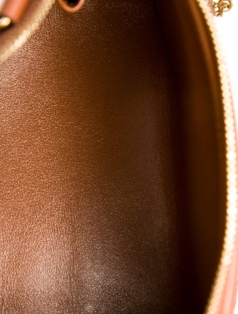 Celine Canvas Triomphe 2024