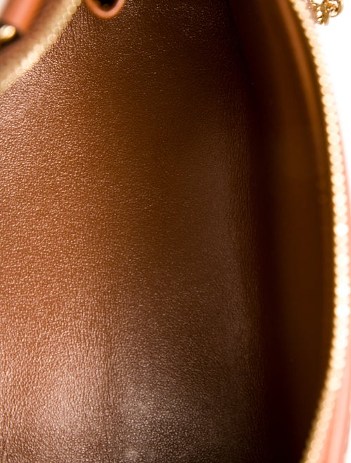 Celine Canvas Triomphe 2024