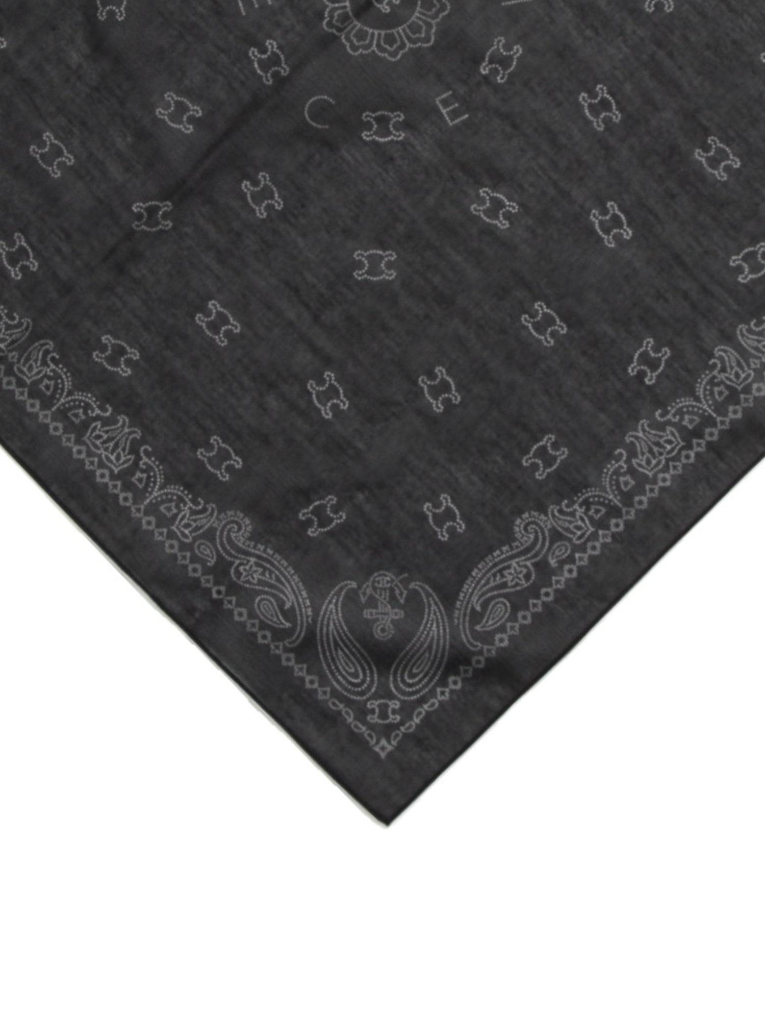 Celine Paisley Print Scarf