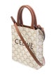 Celine Triomphe Vertical Cabas Mini 2022