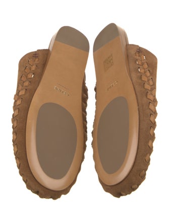 Celine 2024 Triomphe Mules