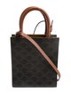 Celine Triomphe Vertical Cabas Mini