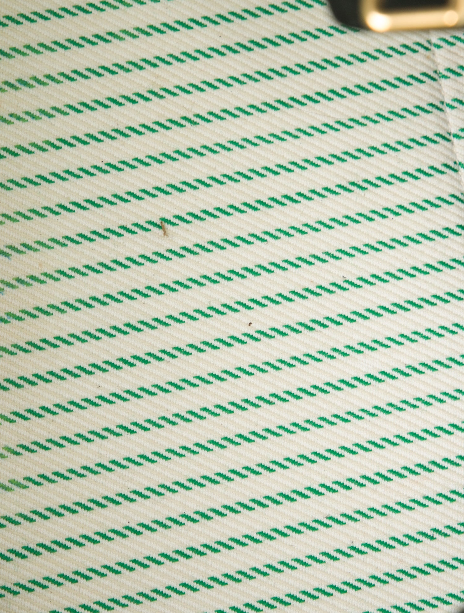 Celine Canvas Luggage Phantom Medium