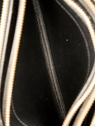 Celine Python Crossbody Bag