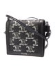 Celine Triomphe Crossbody Bag 2022